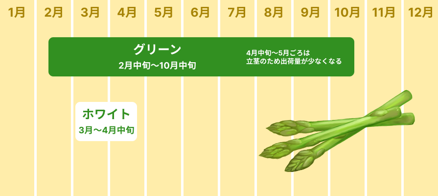 アスパラガスの収穫時期